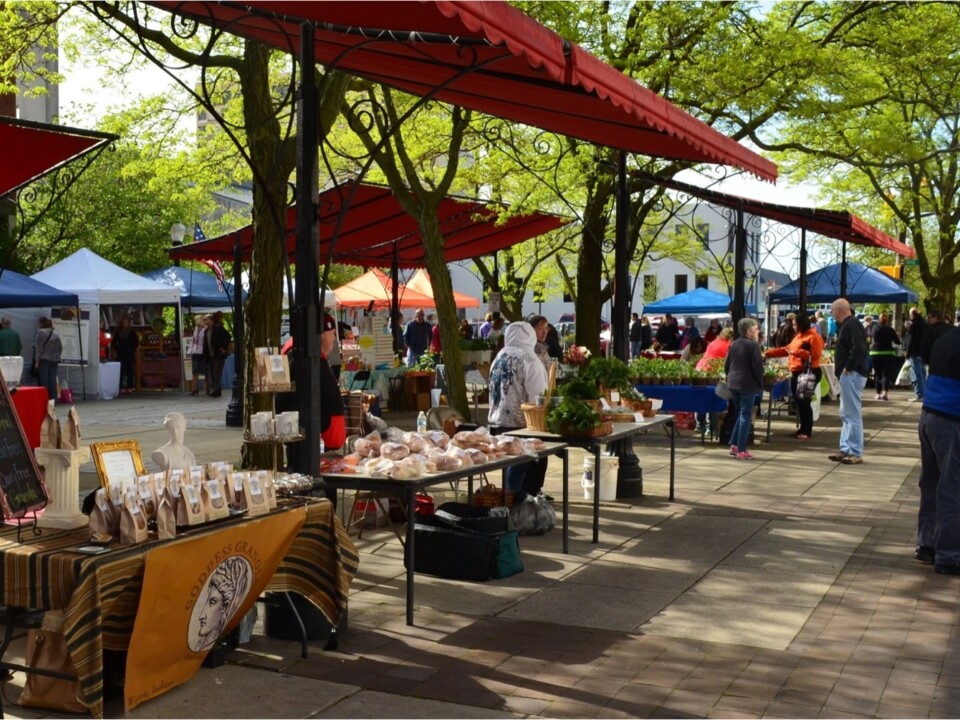 Info Cutout Example02