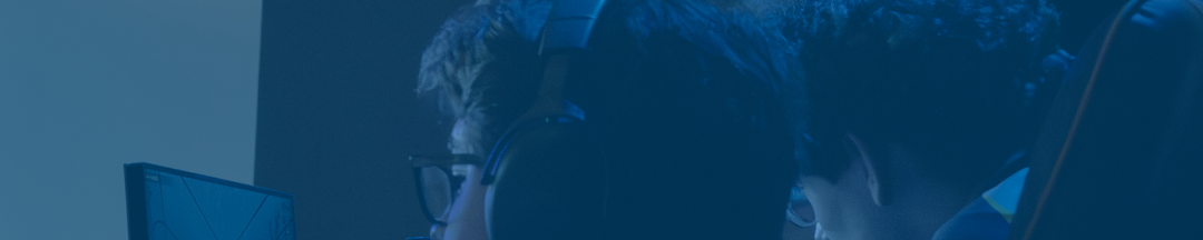 Smash Bros Tournament 3