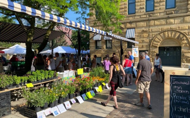 Farmers Market1