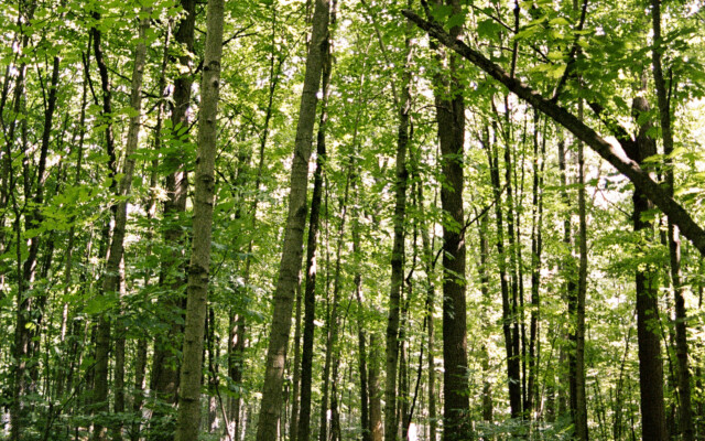 Scans 000070150032