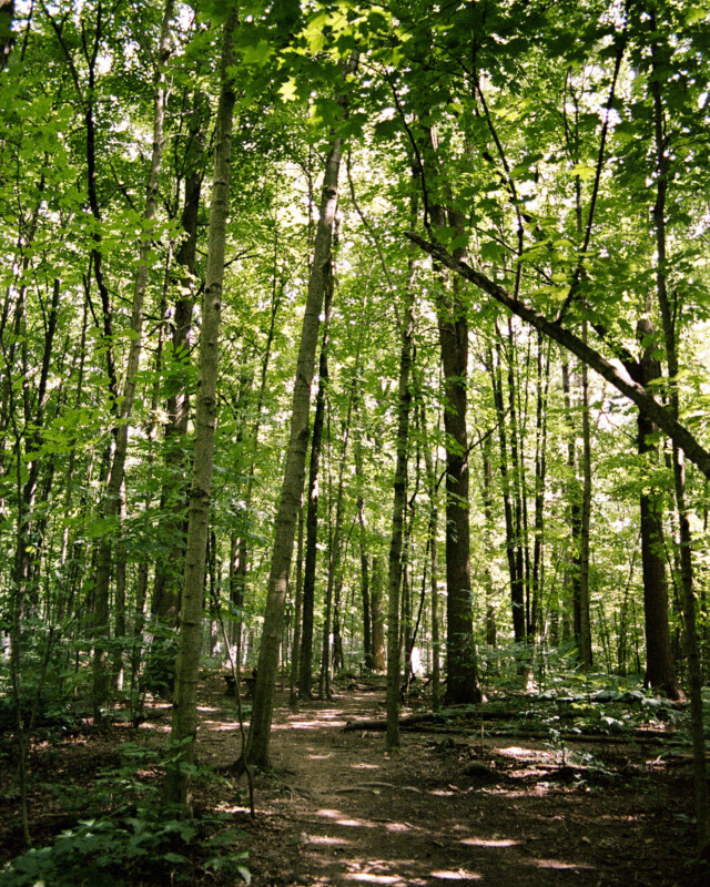 Scans 000070150032
