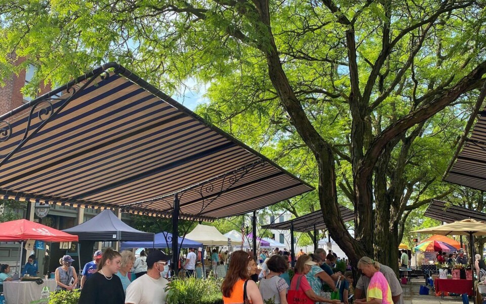 Farmers Market 10