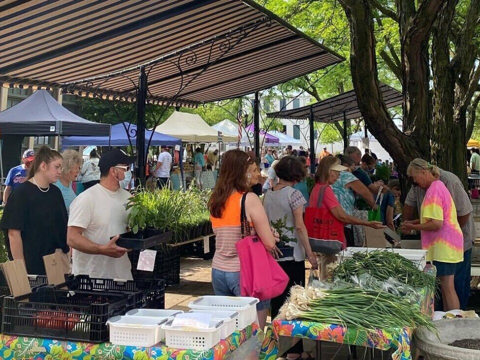 Farmers Market 10 2024 05 07 152911 qthg